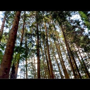 Meet your Posher, Rowan